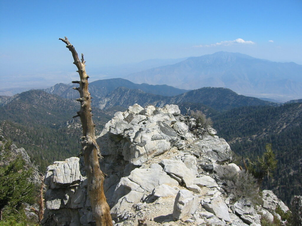 San Gorgonio 2007