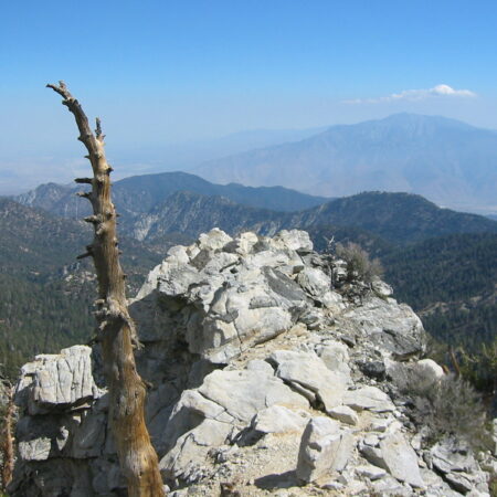 San Gorgonio 2007