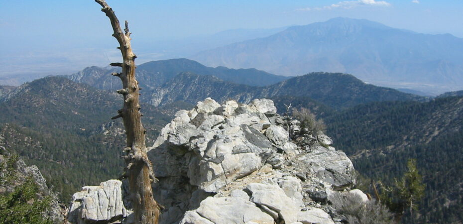 San Gorgonio 2007